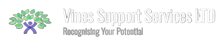 Vines Support Services Ltd